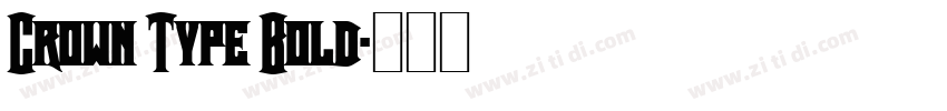 Crown Type Bold字体转换